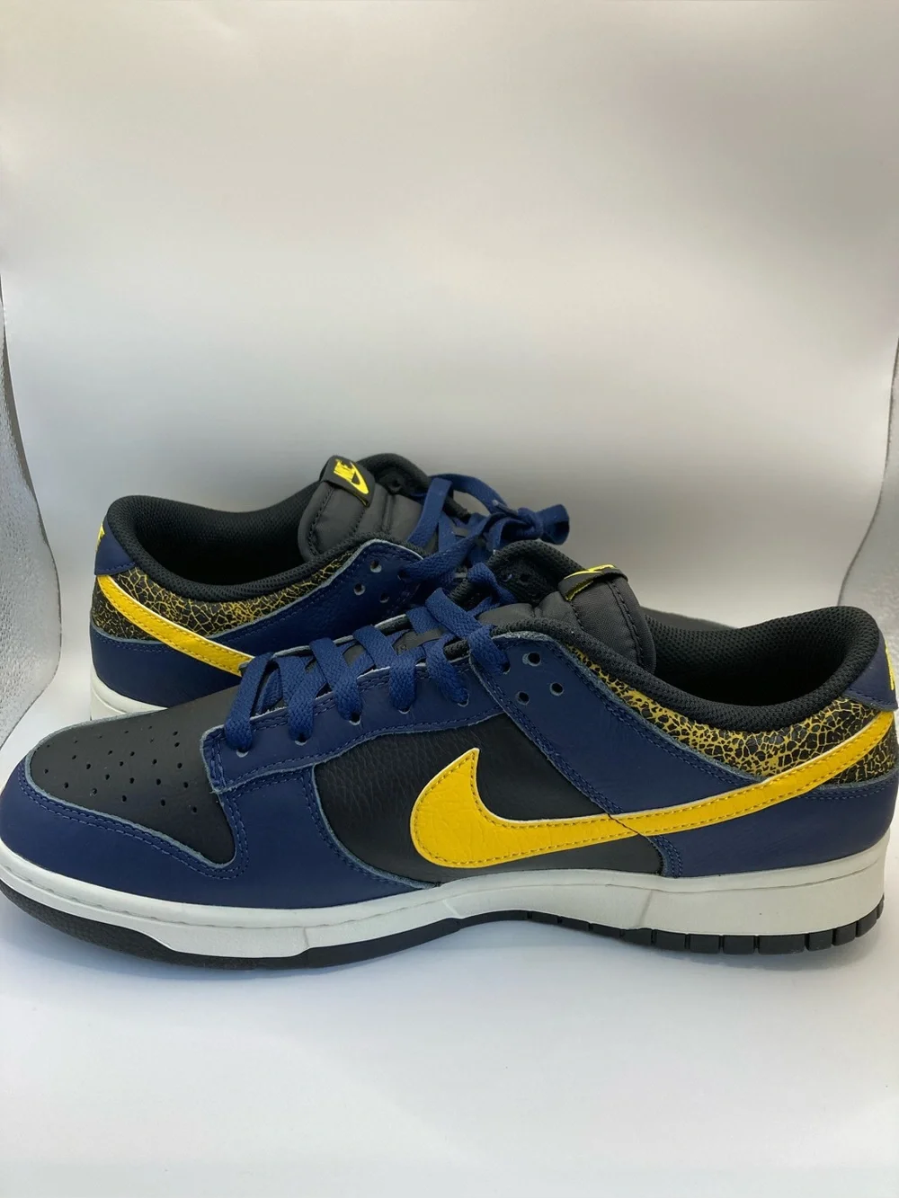 Nike Dunk Low Retro M12.5 (NIB)